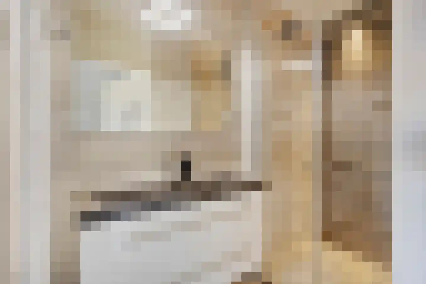 Jisperstraat 38 Purmerend thumbnail 20