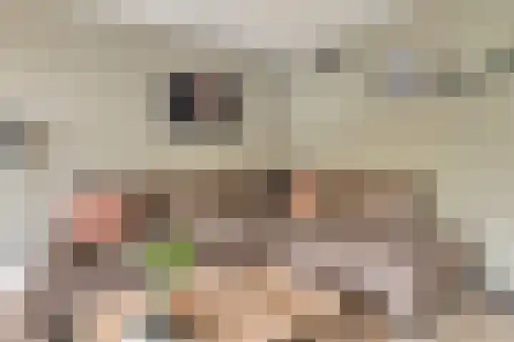 Jisperstraat 6 Purmerend thumbnail 12