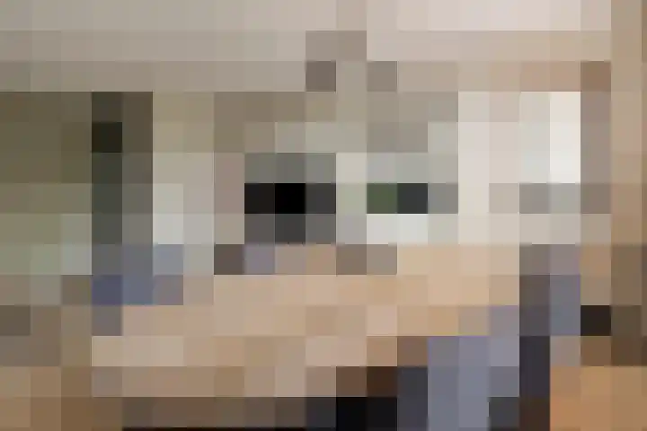 Jisperstraat 6 Purmerend thumbnail 13
