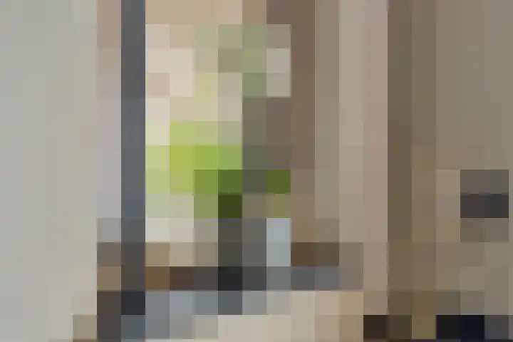 Jisperstraat 6 Purmerend thumbnail 14