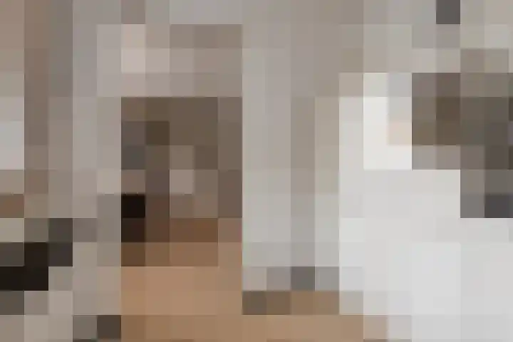 Jisperstraat 6 Purmerend thumbnail 15