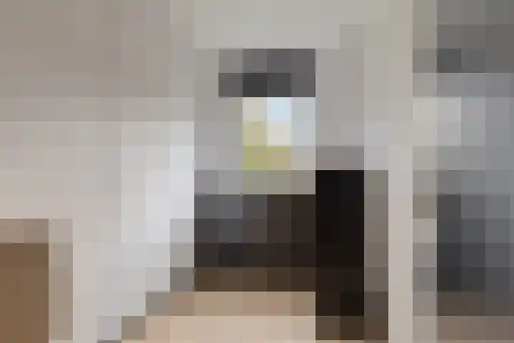 Jisperstraat 6 Purmerend thumbnail 21