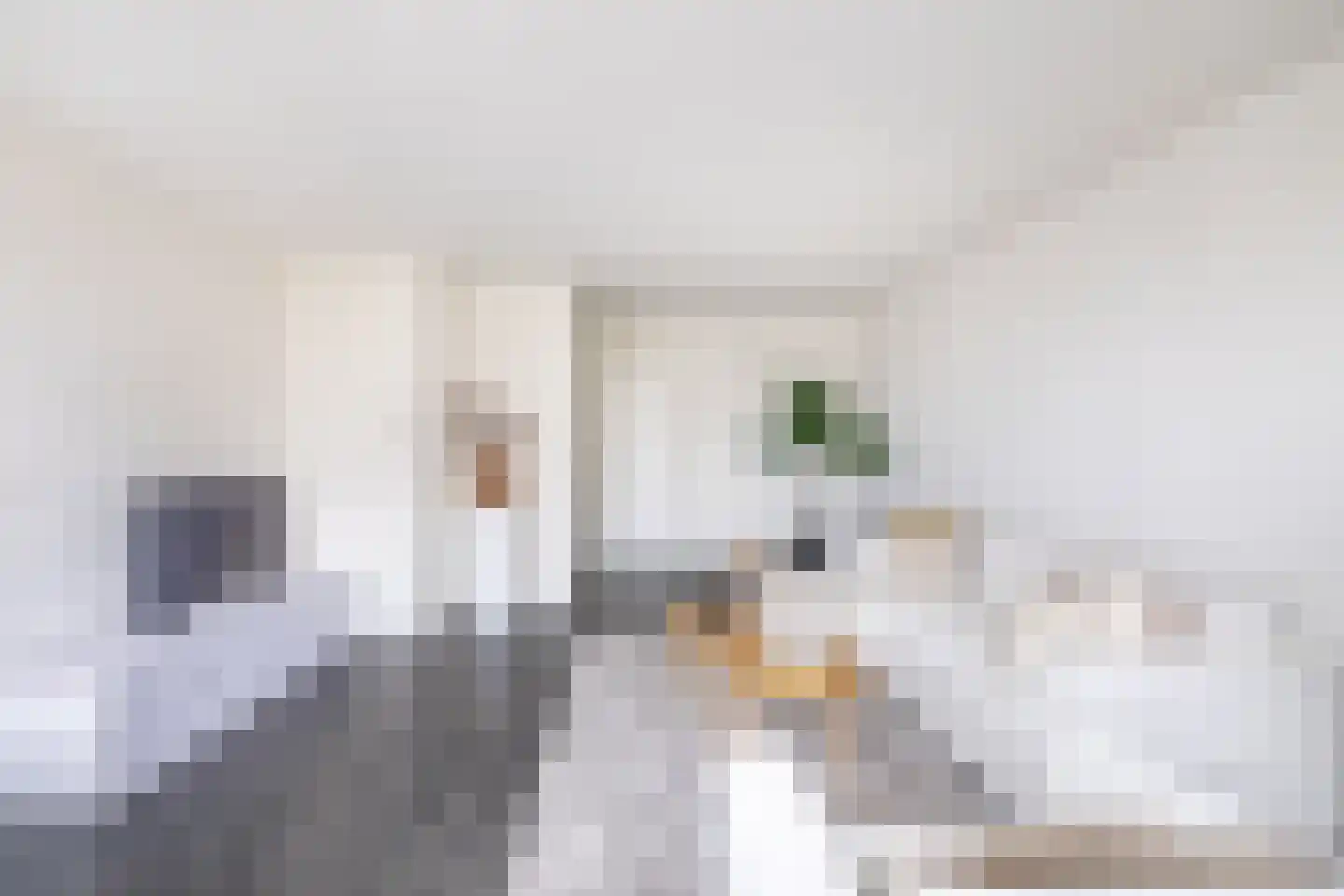 Jisperstraat 8 Purmerend thumbnail 18