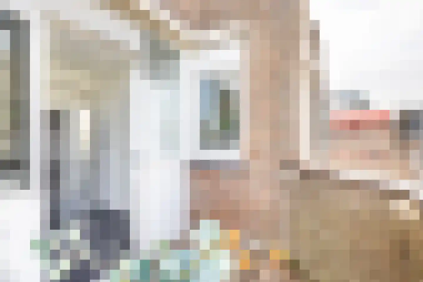Jisperstraat 8 Purmerend thumbnail 26