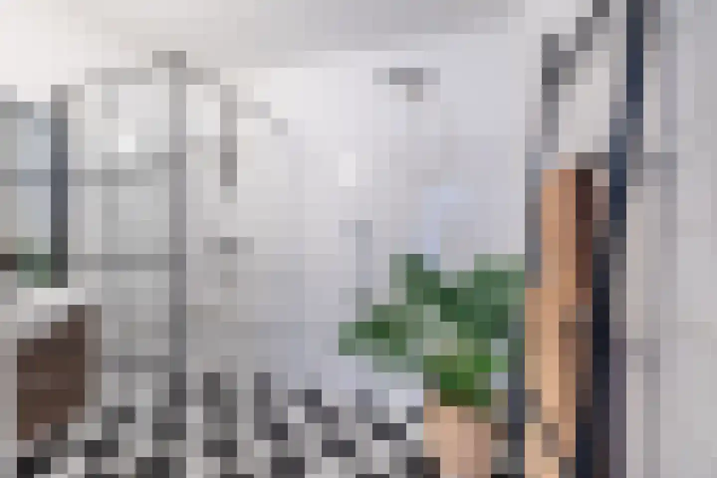 Jisperstraat 8 Purmerend thumbnail 34