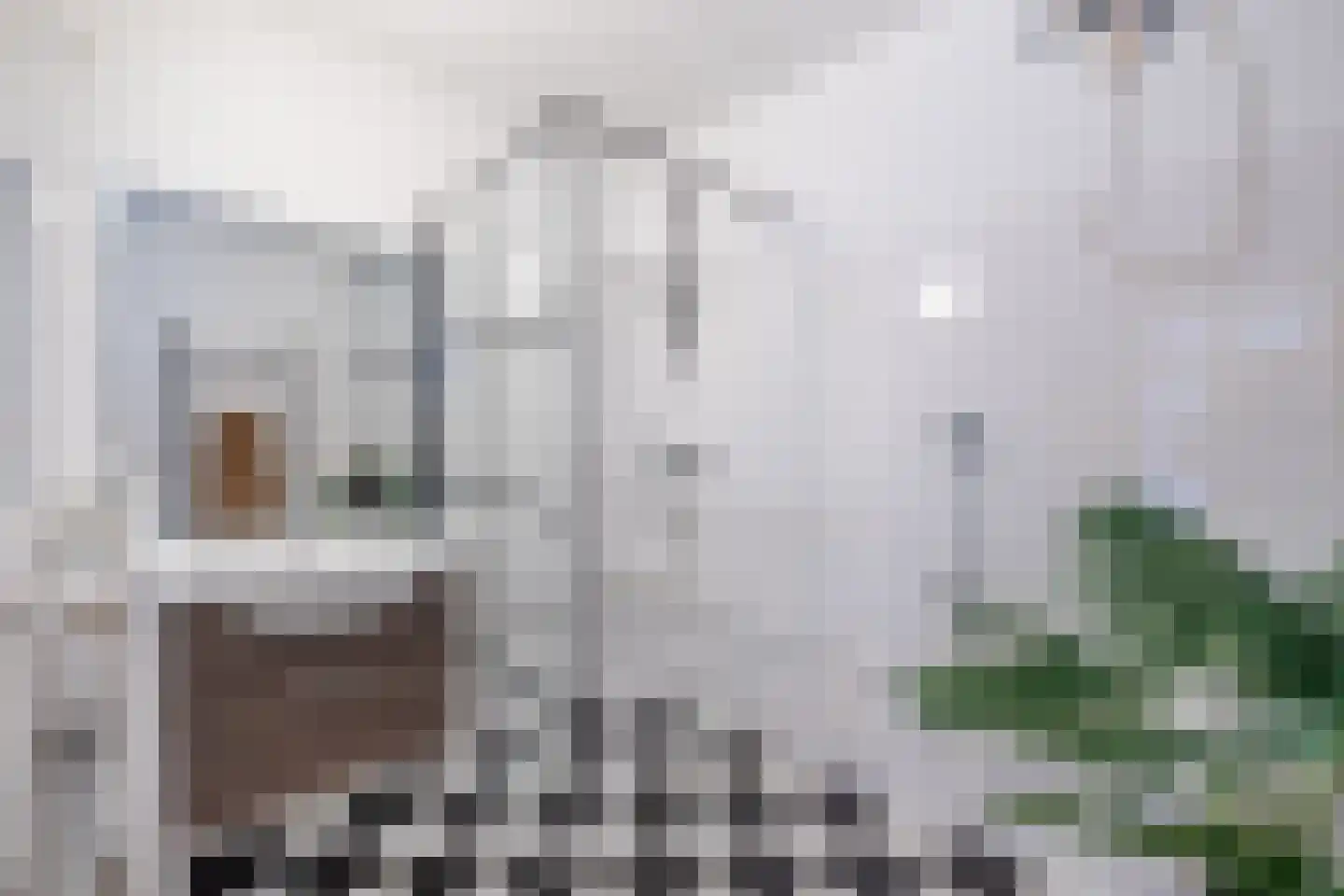 Jisperstraat 8 Purmerend thumbnail 35