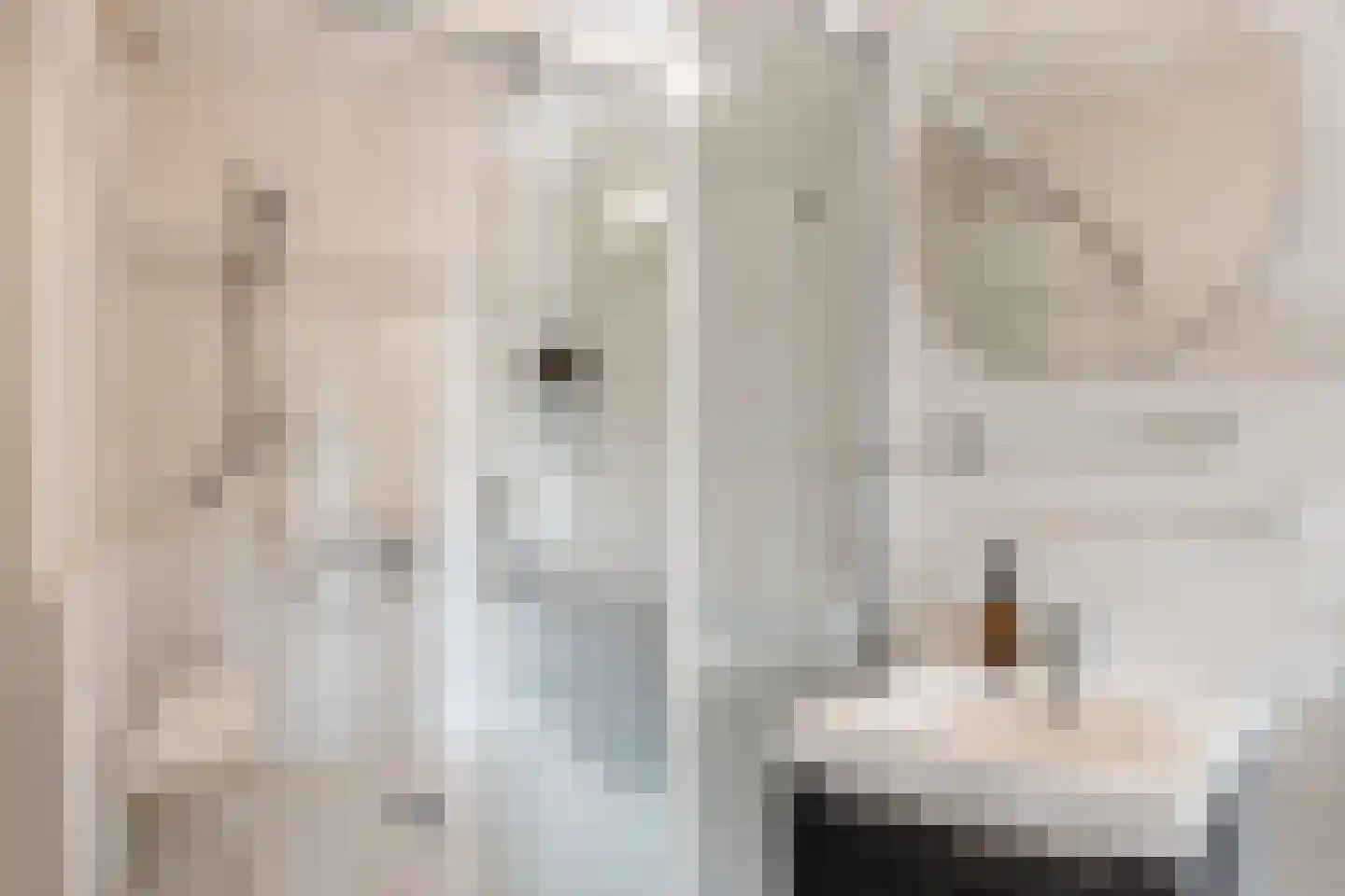 Jisperveldstraat 115 Amsterdam thumbnail 27