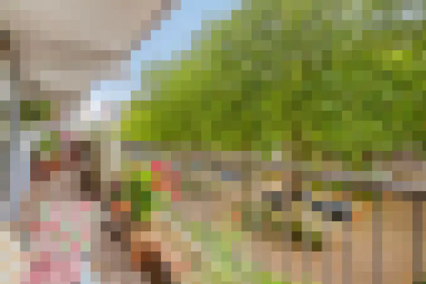 Jisperveldstraat 154 Amsterdam thumbnail 5