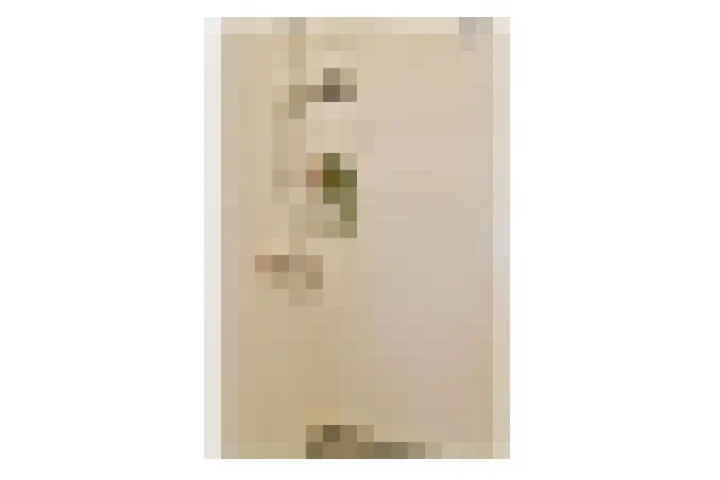 Jisperveldstraat 203 Amsterdam thumbnail 17
