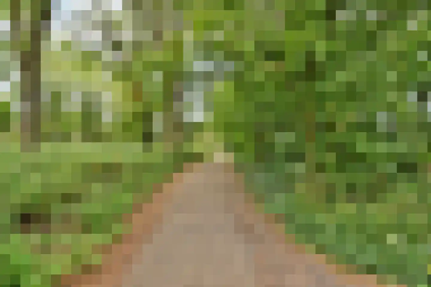 Jisperveldstraat 203 Amsterdam thumbnail 21