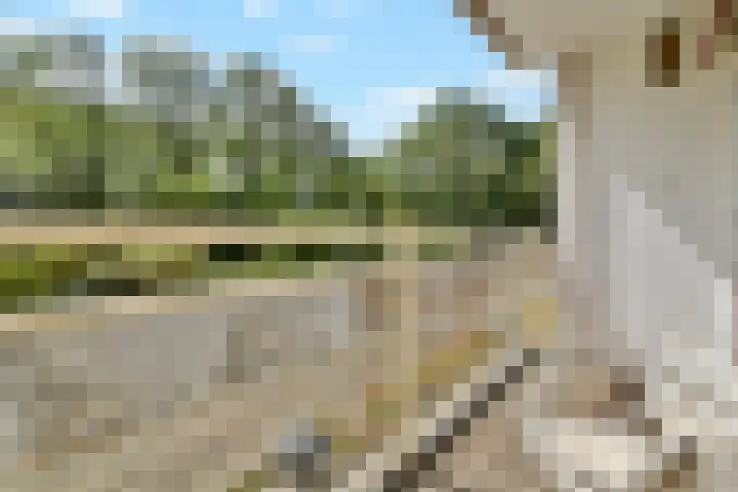 Jisperveldstraat 203 Amsterdam thumbnail 9