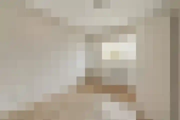 Jisperveldstraat 213 Amsterdam thumbnail 17