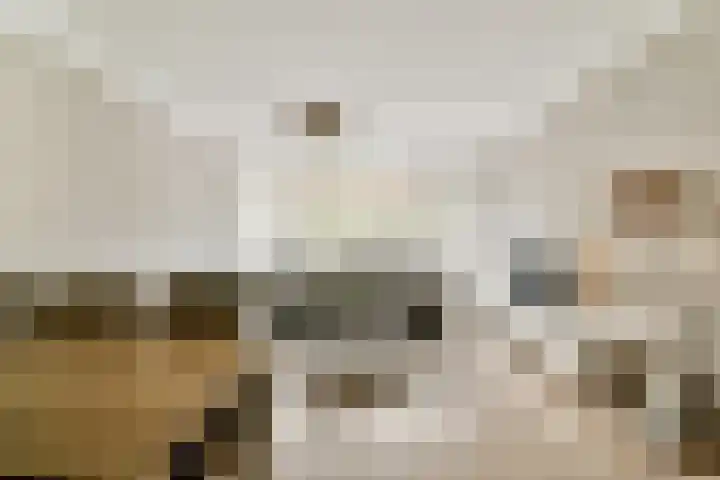 Jisperveldstraat 213 Amsterdam thumbnail 5