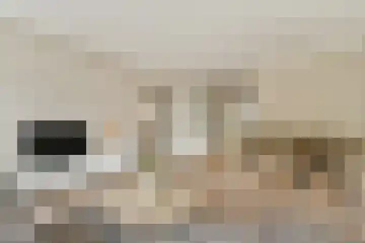 Jisperveldstraat 213 Amsterdam thumbnail 6