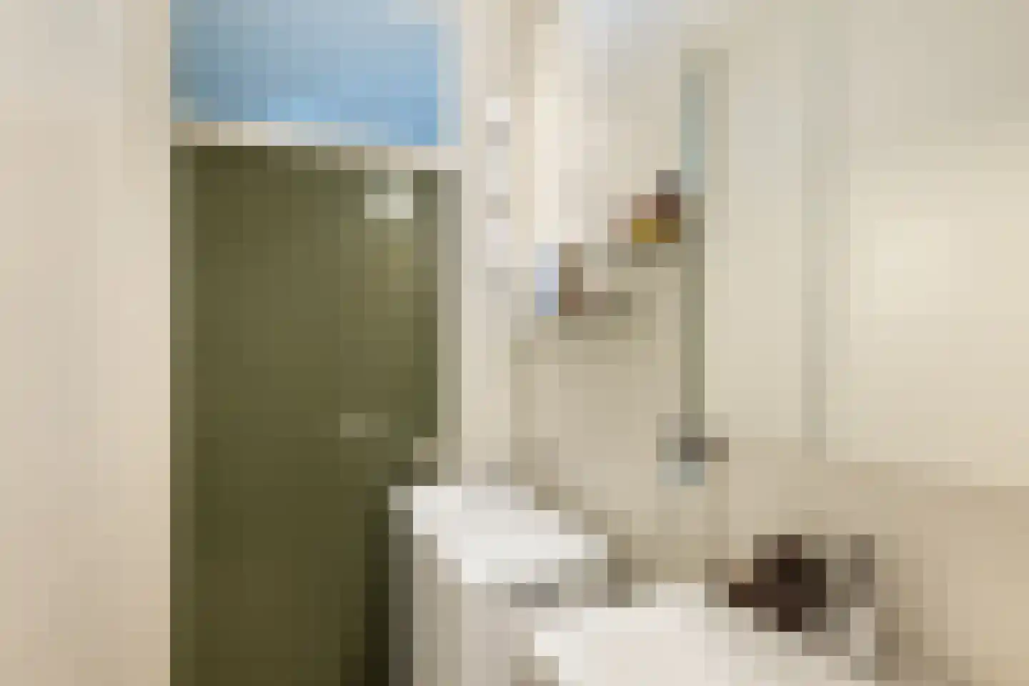 Jisperveldstraat 244 Amsterdam thumbnail 29