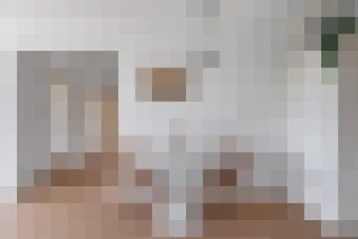 Jisperveldstraat 251 Amsterdam thumbnail 4