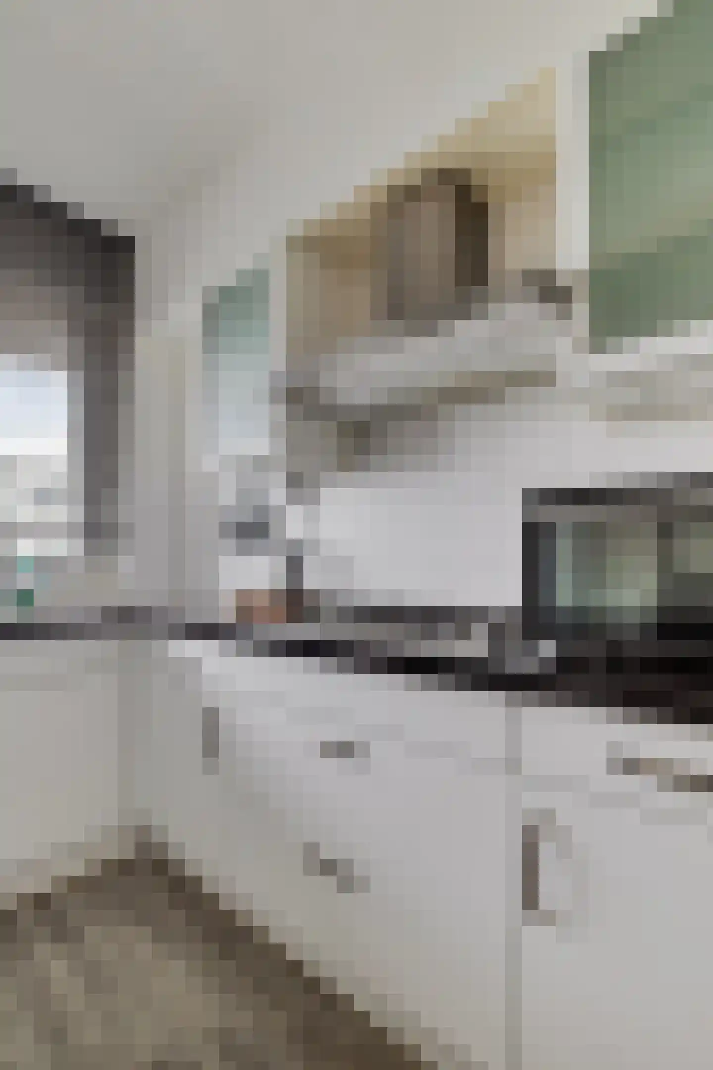 Jisperveldstraat 252 Amsterdam thumbnail 22