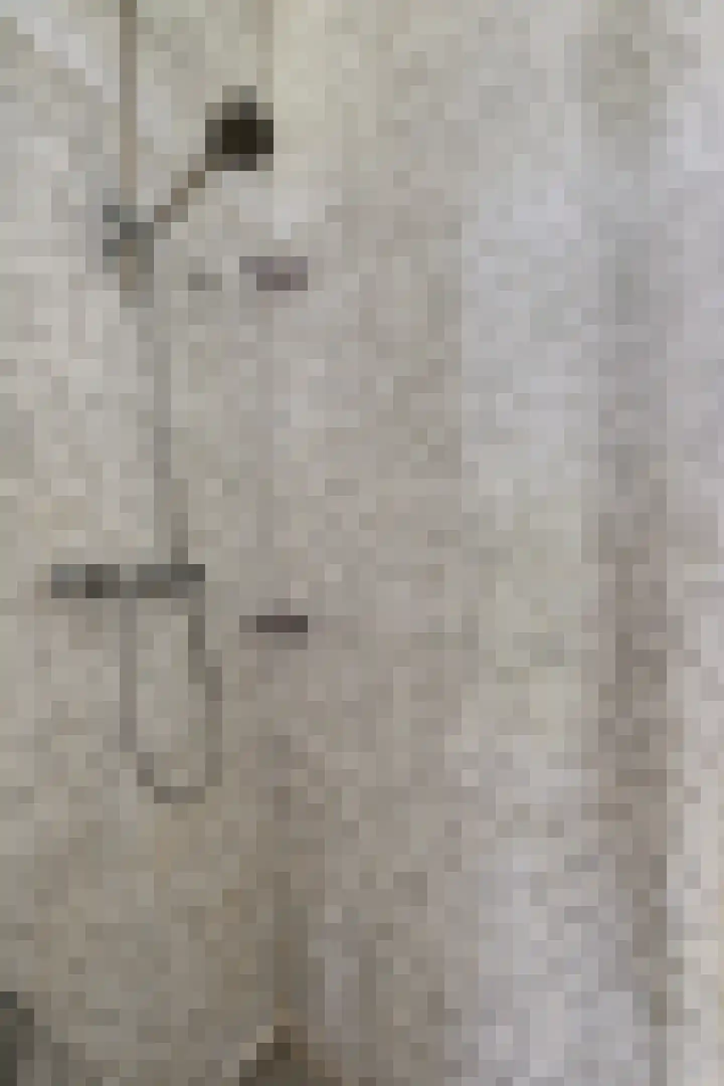 Jisperveldstraat 252 Amsterdam thumbnail 34