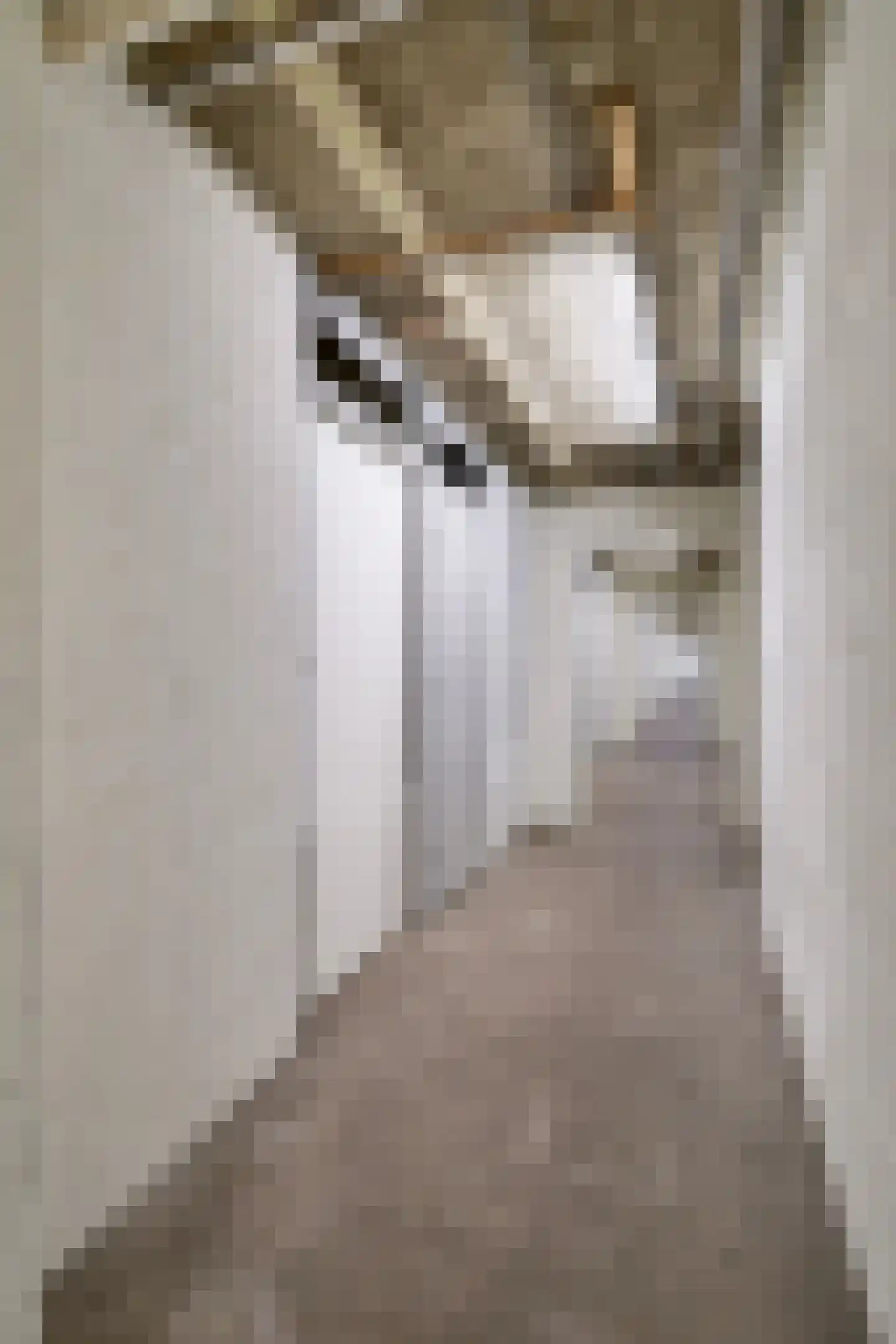 Jisperveldstraat 252 Amsterdam thumbnail 6