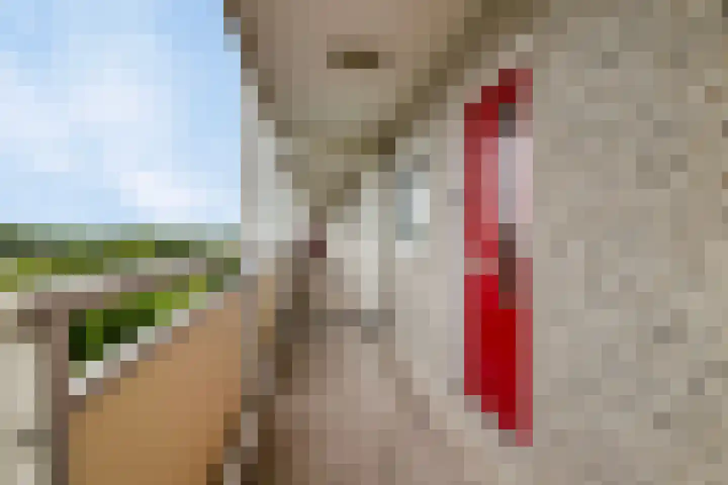 Jisperveldstraat 252 Amsterdam thumbnail 8