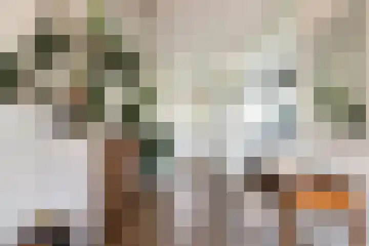 Jisperveldstraat 254 Amsterdam thumbnail 4