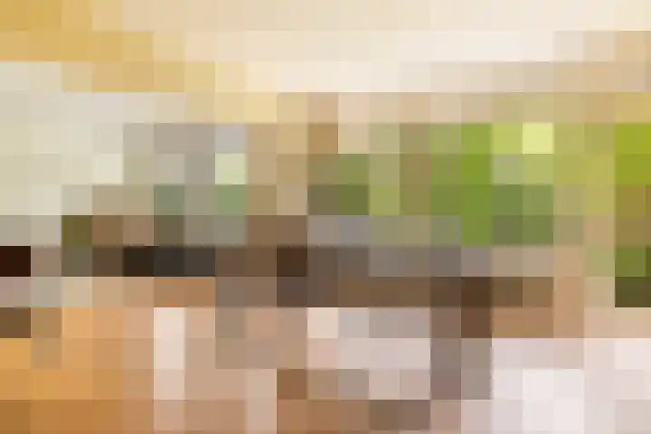 Jisperveldstraat 29 Amsterdam