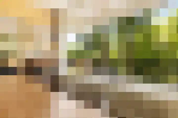 Jisperveldstraat 29 Amsterdam thumbnail 12