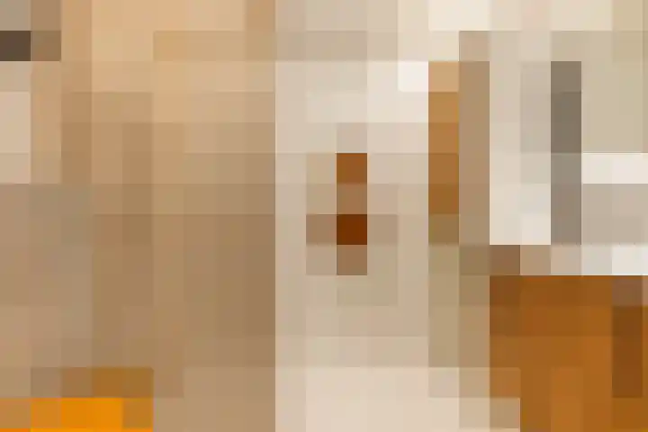 Jisperveldstraat 29 Amsterdam thumbnail 28