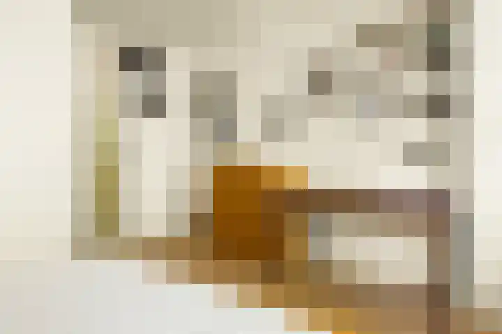 Jisperveldstraat 29 Amsterdam thumbnail 38