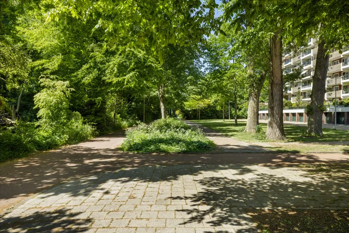 Jisperveldstraat 29 Amsterdam thumbnail 47