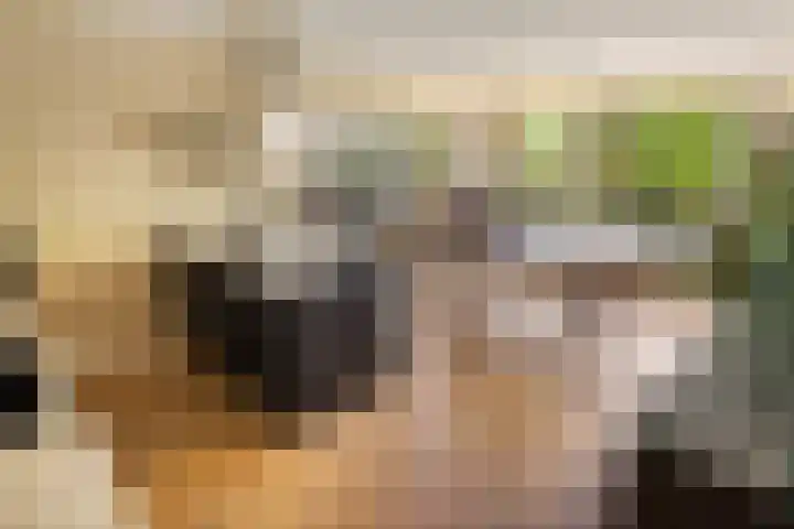 Jisperveldstraat 29 Amsterdam thumbnail 6