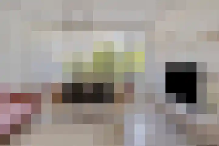 Jisperveldstraat 331 Amsterdam thumbnail 5