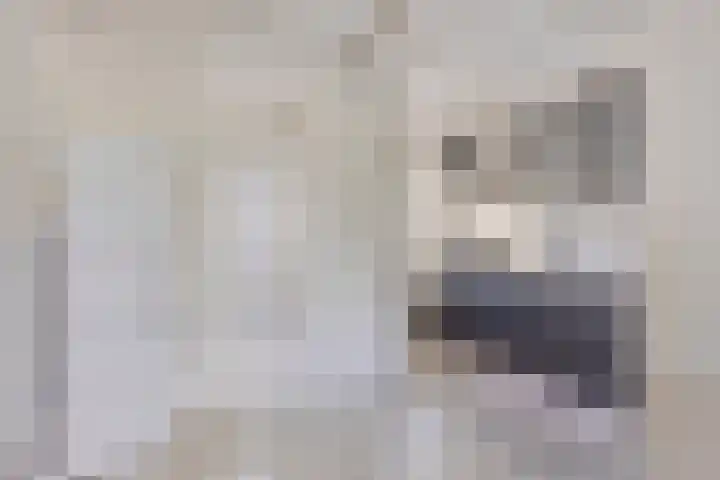 Jisperveldstraat 331 Amsterdam thumbnail 6