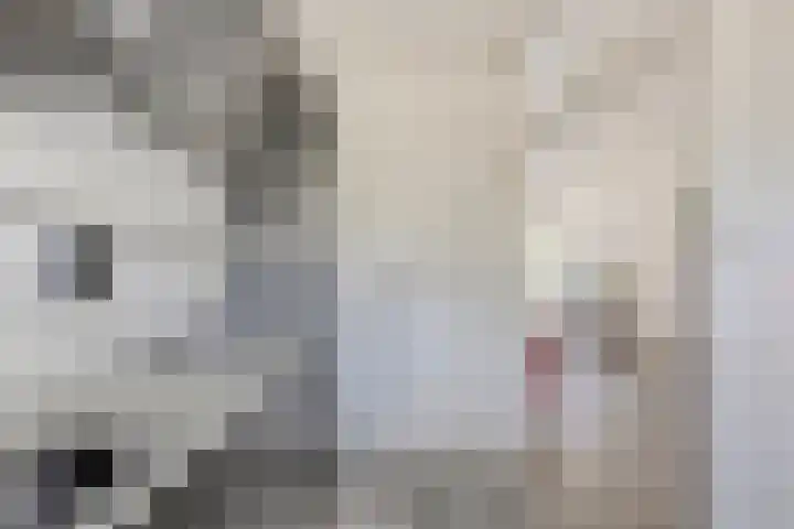 Jisperveldstraat 331 Amsterdam thumbnail 8