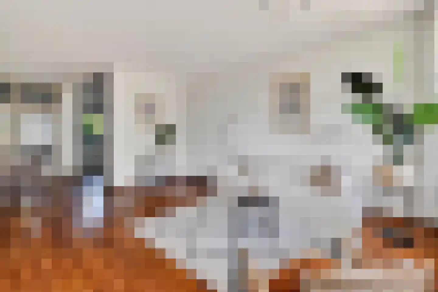 Jisperveldstraat 336 Amsterdam thumbnail 12