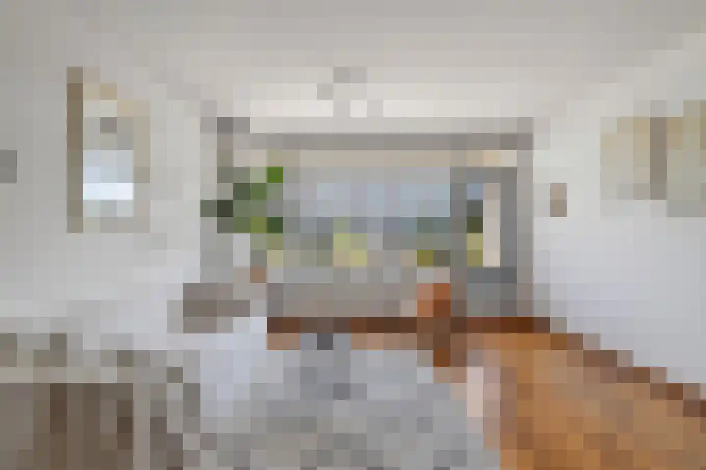Jisperveldstraat 336 Amsterdam thumbnail 9