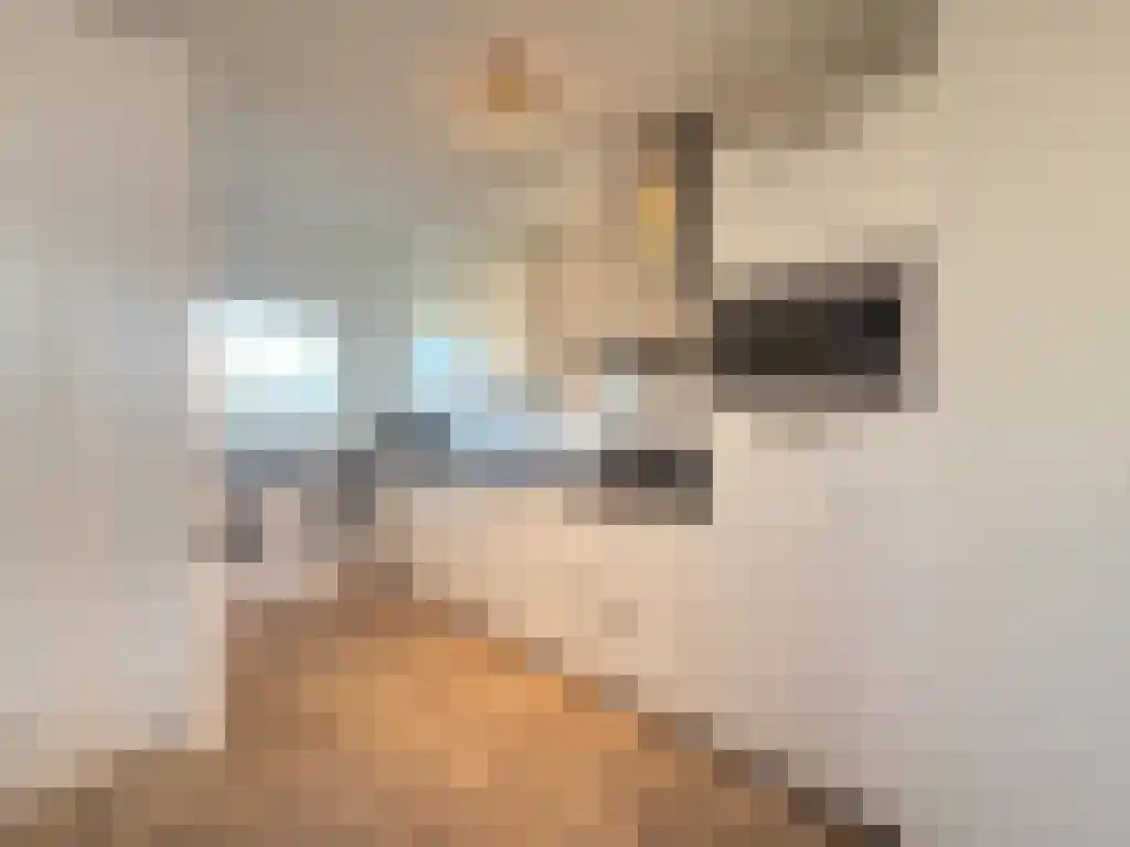 Jisperveldstraat 368 Amsterdam thumbnail 6