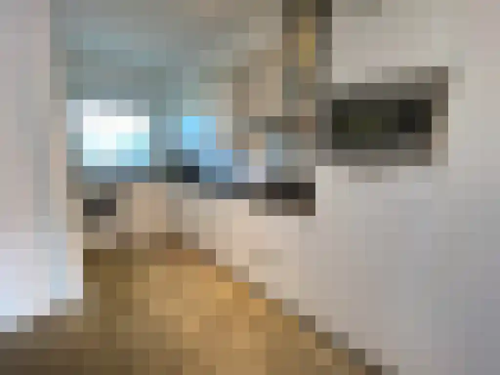 Jisperveldstraat 370 Amsterdam thumbnail 4