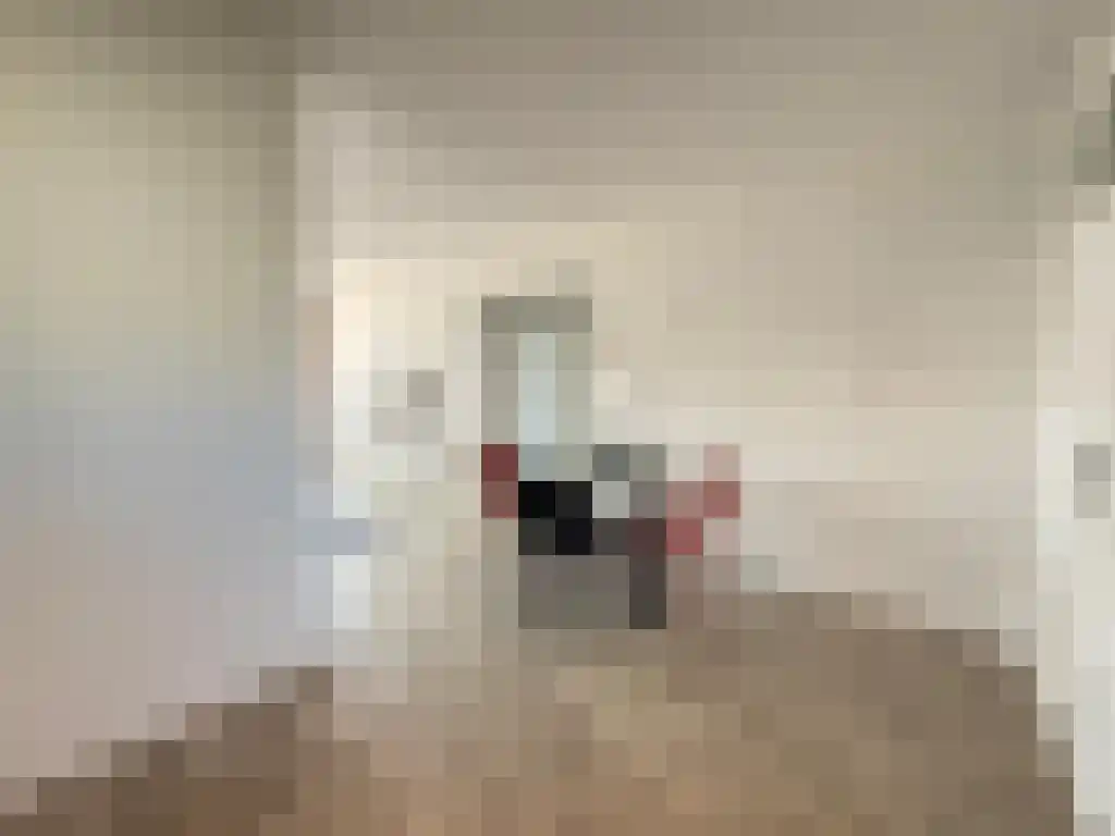 Jisperveldstraat 371 Amsterdam thumbnail 5