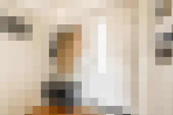 Jisperveldstraat 394 Amsterdam thumbnail 11