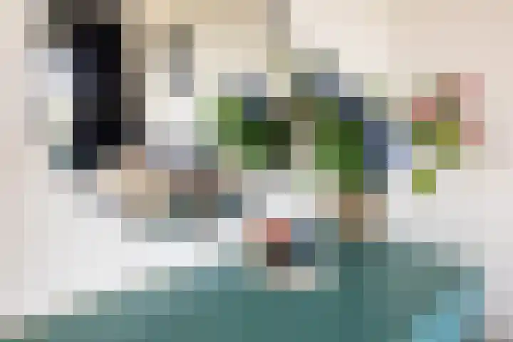 Jisperveldstraat 394 Amsterdam thumbnail 29