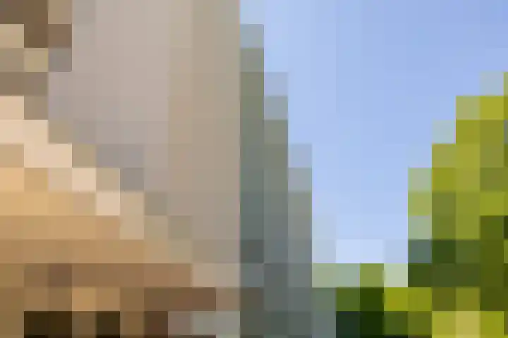 Jisperveldstraat 394 Amsterdam thumbnail 8