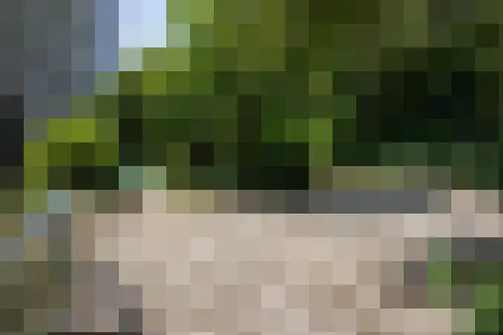 Jisperveldstraat 426 Amsterdam thumbnail 39