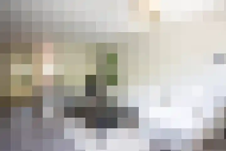Jisperveldstraat 426 Amsterdam thumbnail 4
