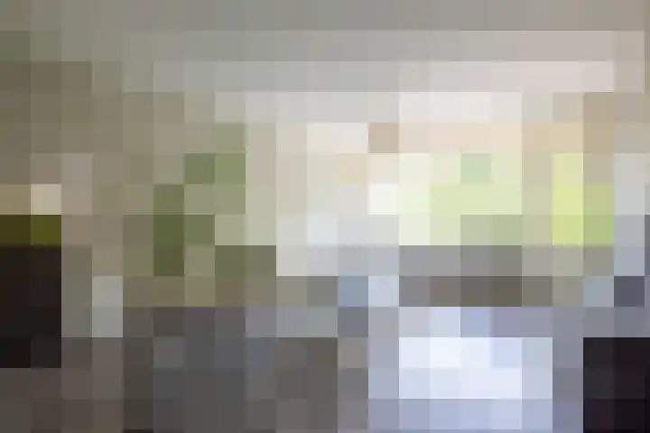 Jisperveldstraat 426 Amsterdam thumbnail 52