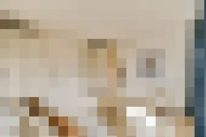 Jisperveldstraat 460 Amsterdam thumbnail 19