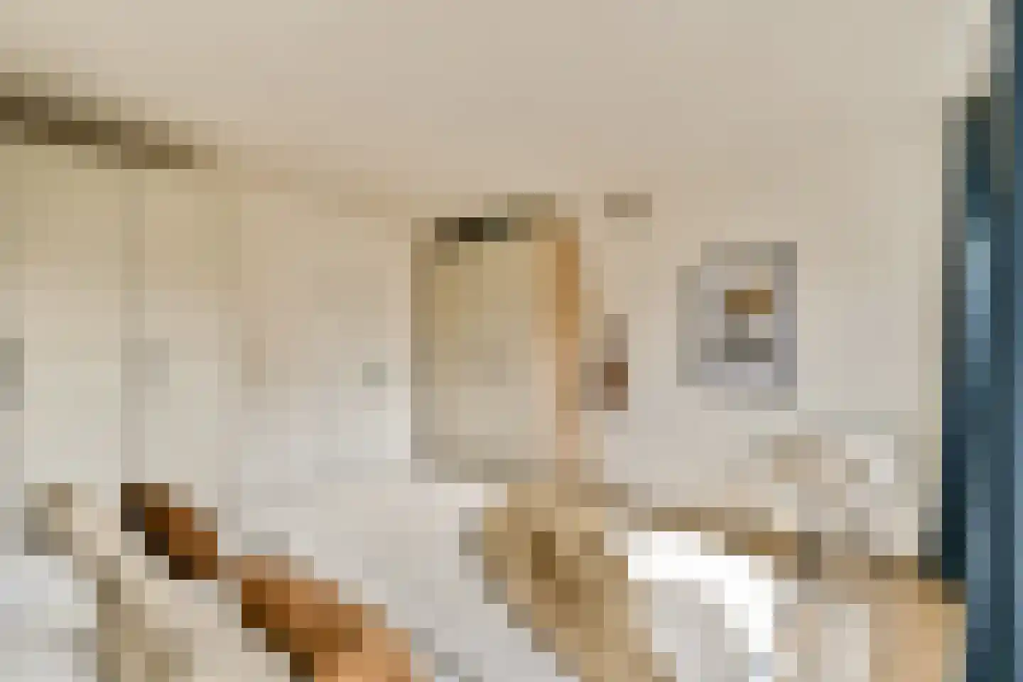 Jisperveldstraat 460 Amsterdam thumbnail 20