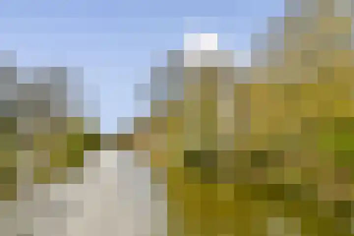 Jisperveldstraat 460 Amsterdam thumbnail 28