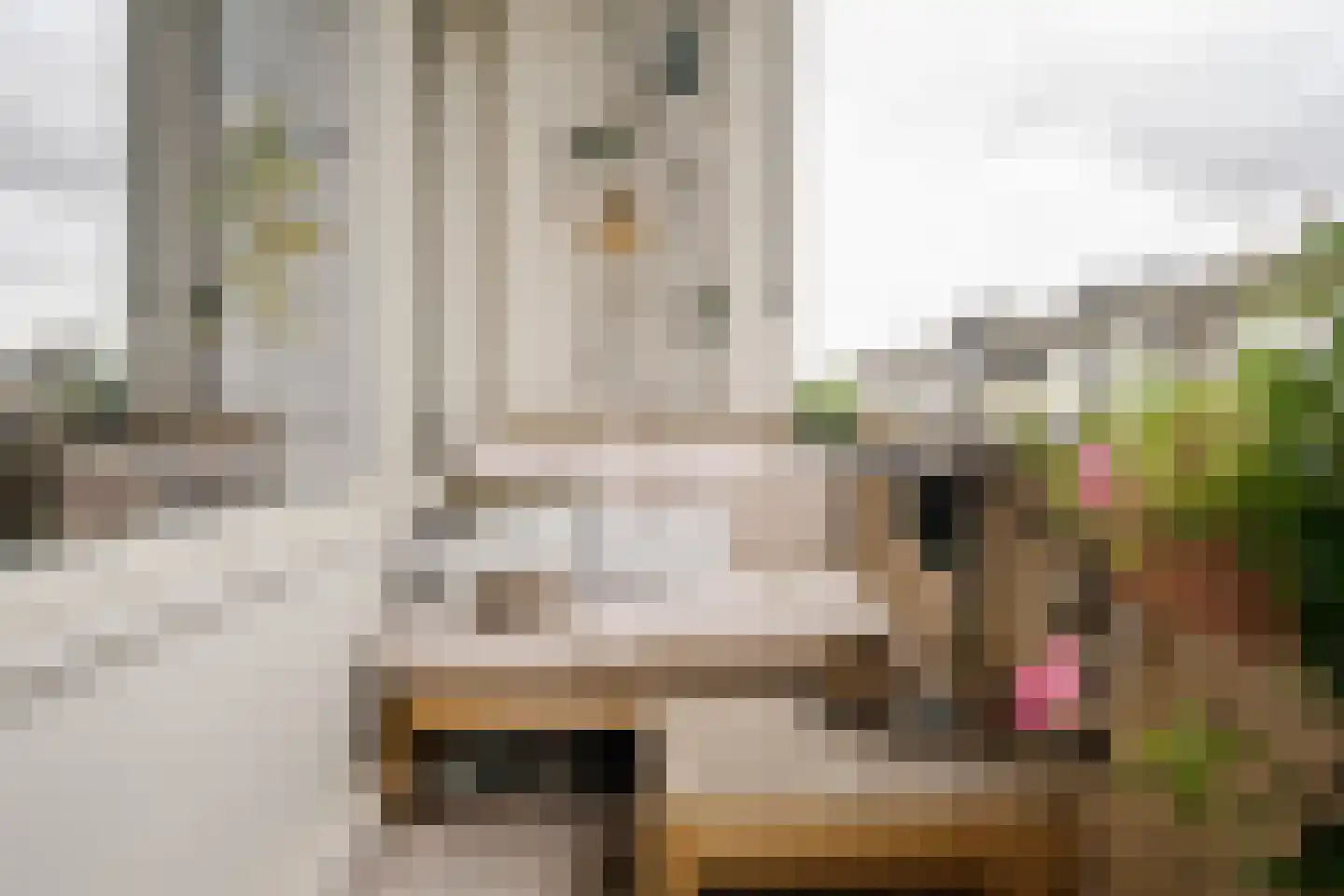 Jisperveldstraat 462 Amsterdam thumbnail 22