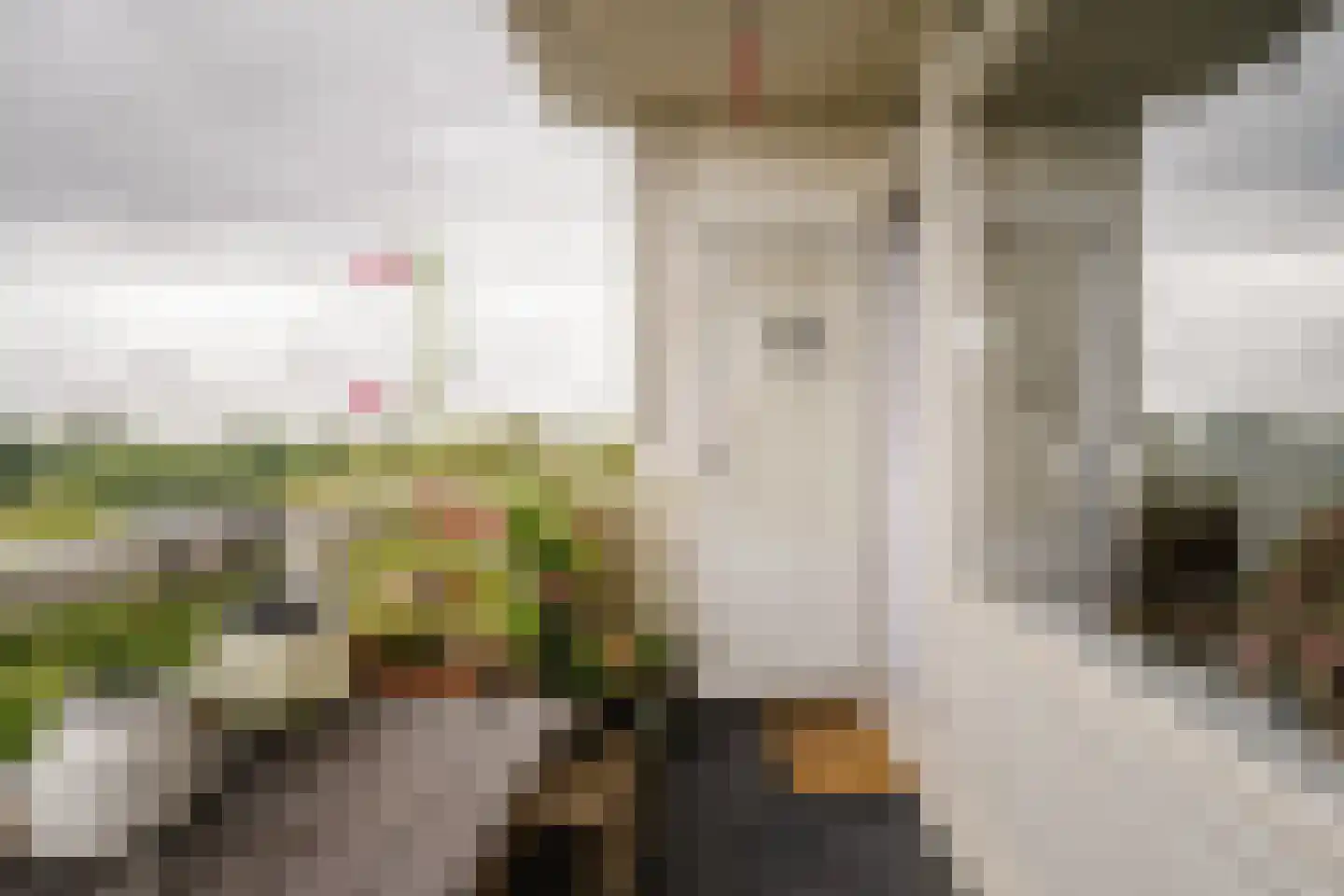 Jisperveldstraat 462 Amsterdam thumbnail 23